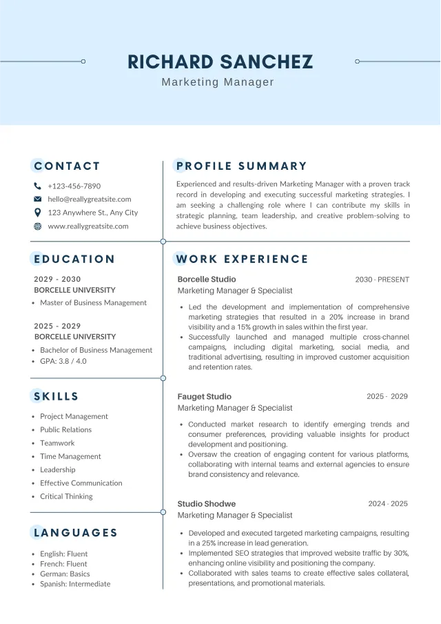 Full-page preview of the Classic Professional CV template layout